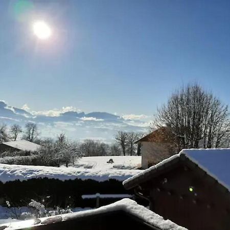 5 Min Des Pistes De Ski Grand Studio Mezzanine Viuz-en-Sallaz 外观 照片