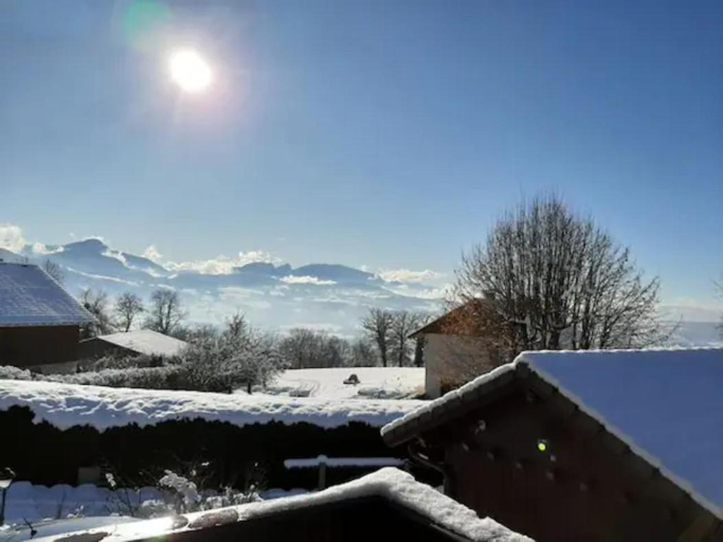 5 Min Des Pistes De Ski Grand Studio Mezzanine Viuz-en-Sallaz 外观 照片