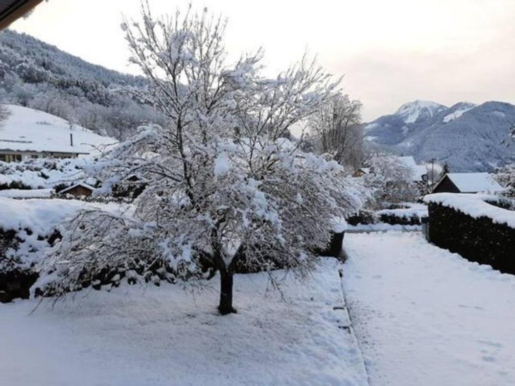 5 Min Des Pistes De Ski Grand Studio Mezzanine Viuz-en-Sallaz 外观 照片