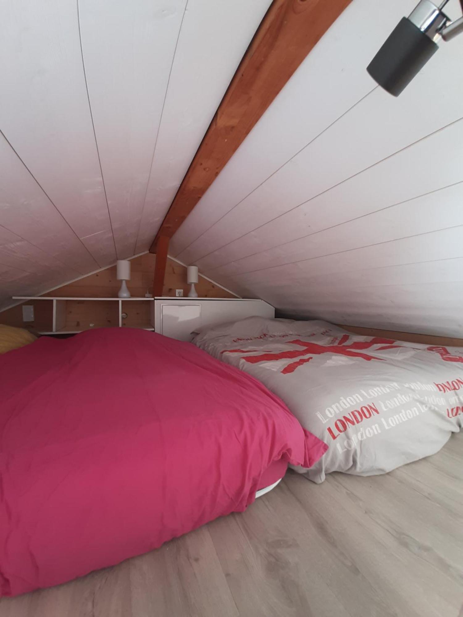 5 Min Des Pistes De Ski Grand Studio Mezzanine Viuz-en-Sallaz 外观 照片